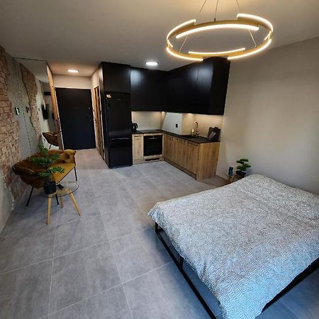Przystan Nad Wisla Gym,Pool And Spa Free Parking Krakow Exterior photo